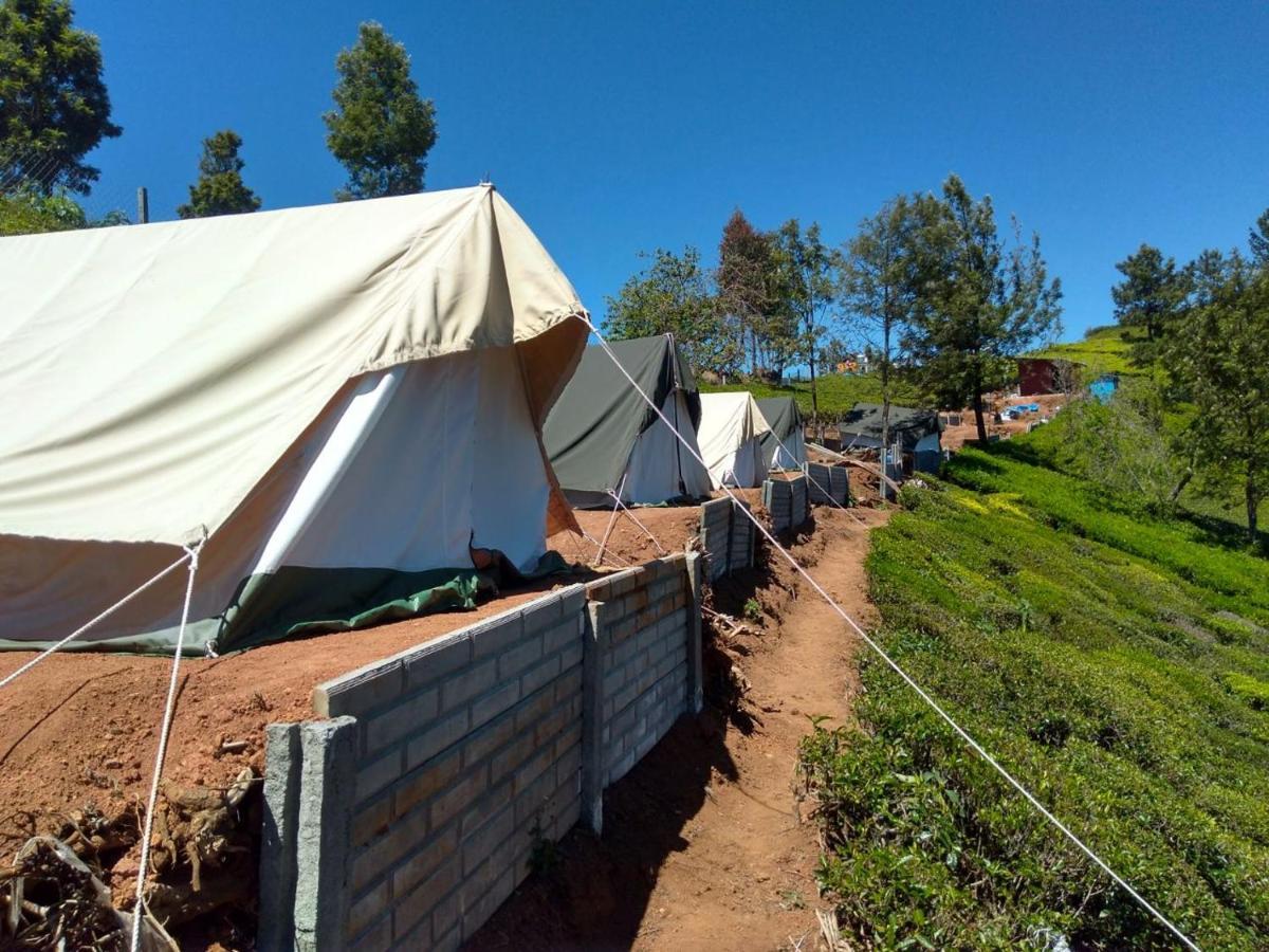 Janardan Tea Campsite