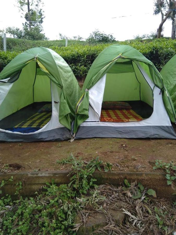 Janardan Tea Campsite