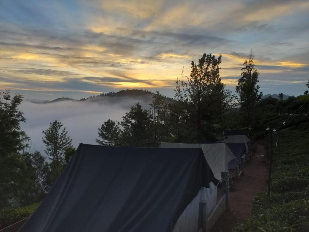 Janardan Tea Campsite