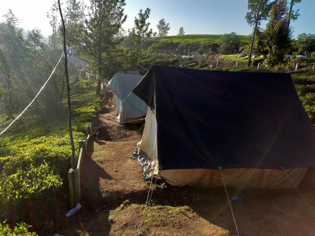 Janardan Tea Campsite Campsite