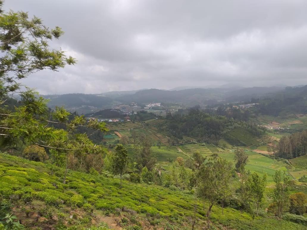 Janardan Tea Campsite Campsite