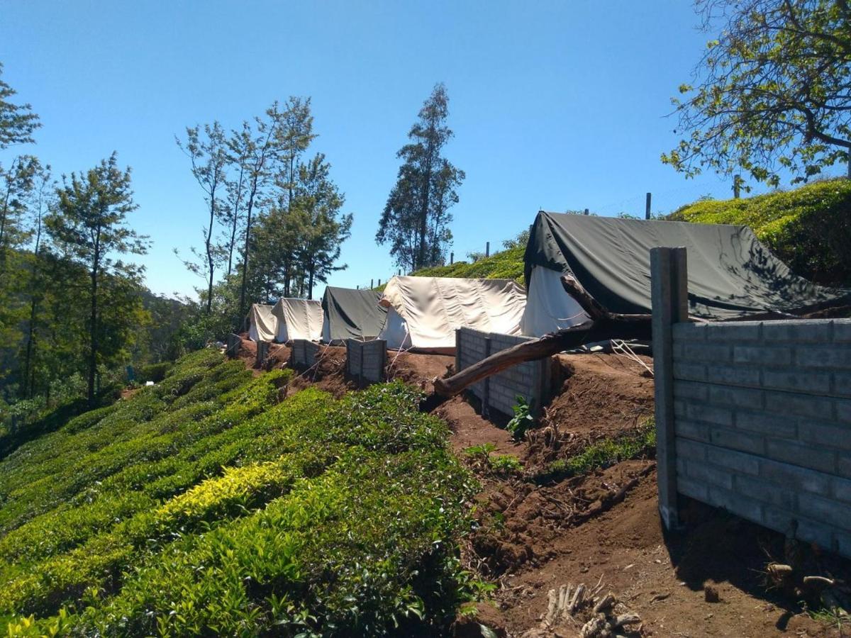Janardan Tea Campsite