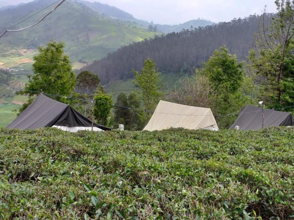 Janardan Tea Campsite