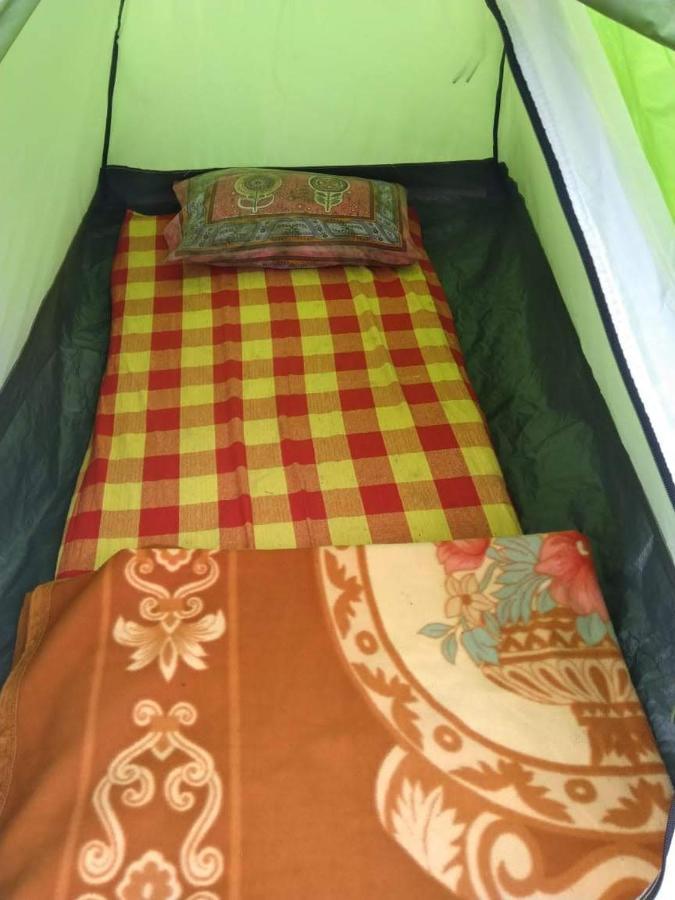 Campsite Janardan Tea Campsite *