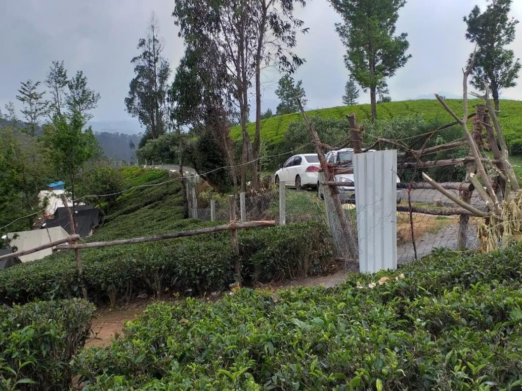 Janardan Tea Campsite Campsite