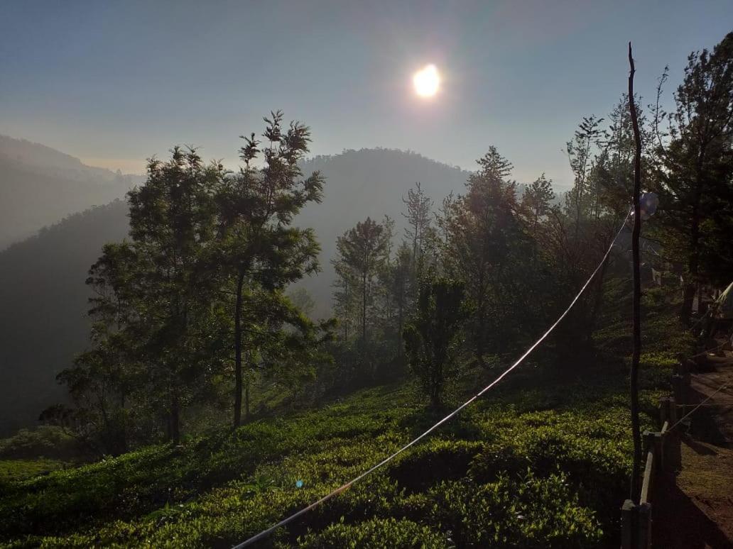 Campsite Janardan Tea Campsite *