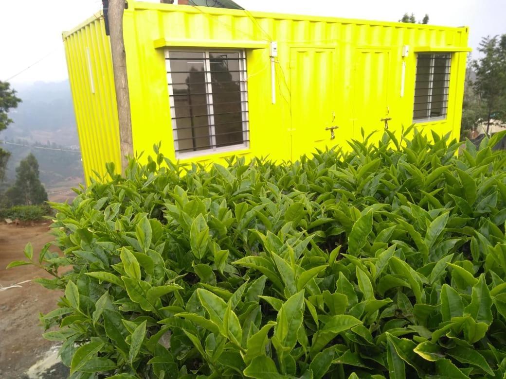 Janardan Tea Campsite Campsite *
