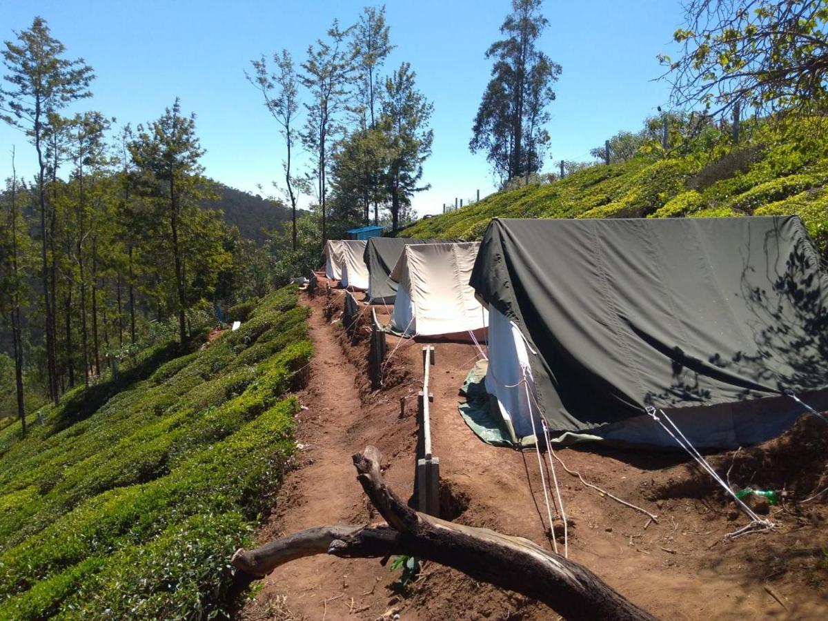 Janardan Tea Campsite
