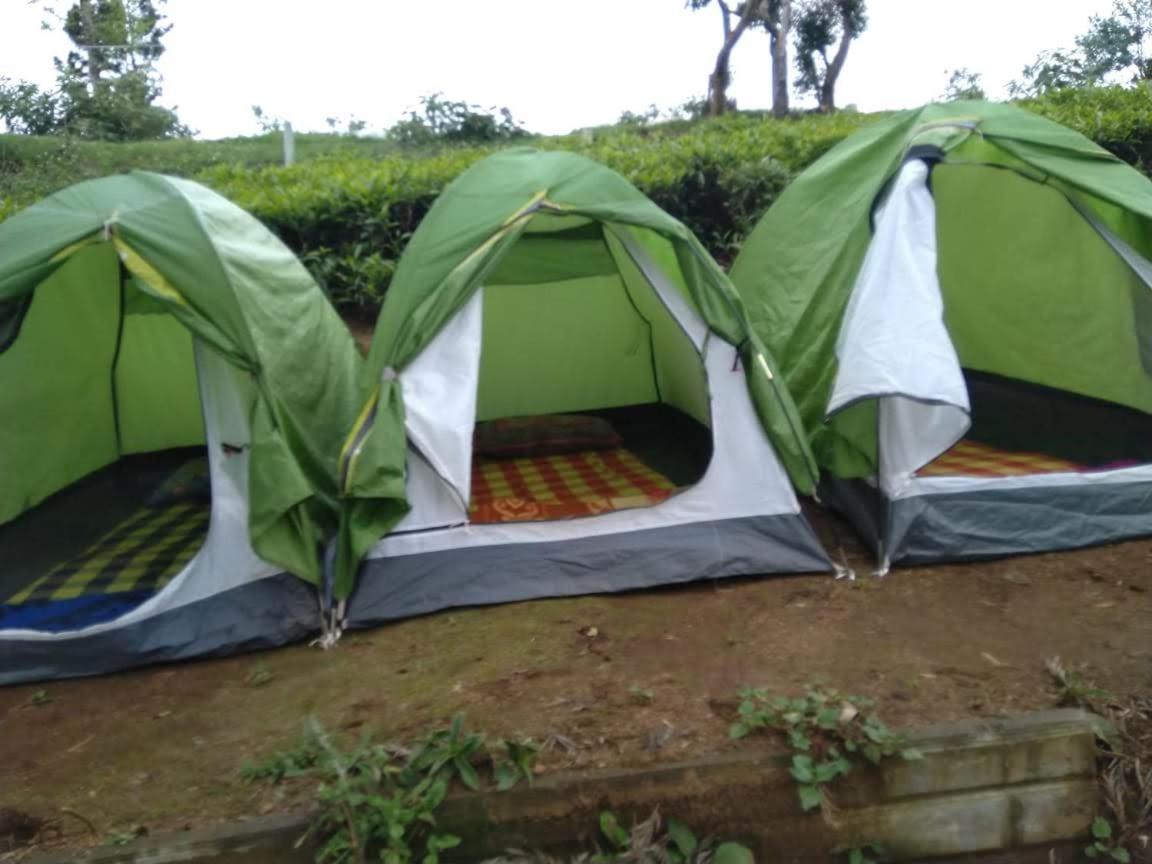 Janardan Tea Campsite