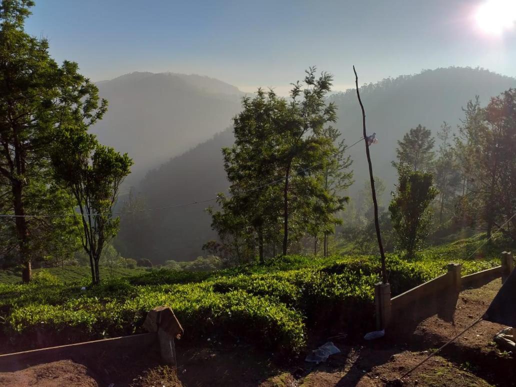 Janardan Tea Campsite Ooty