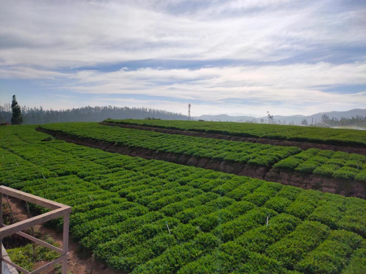 Brown Tree Resort Ooty