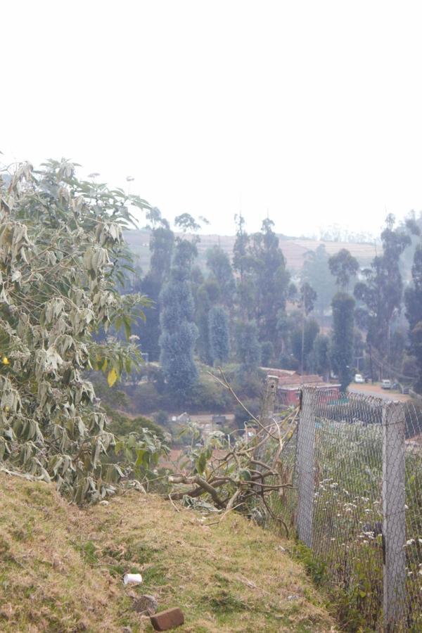 Bs Dreamz * Ooty