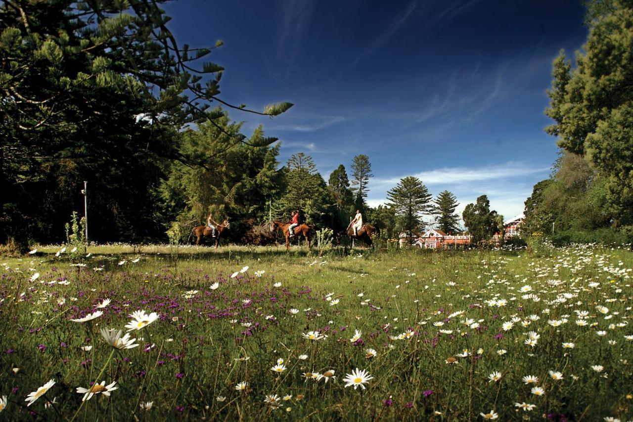 Welcomheritage Fernhills Royal Palace *