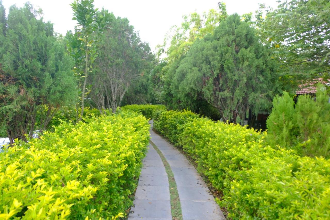 Guest house Masinagudi