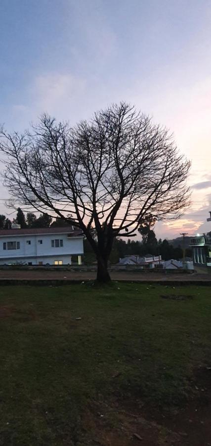 Shree Suites Villa Ooty