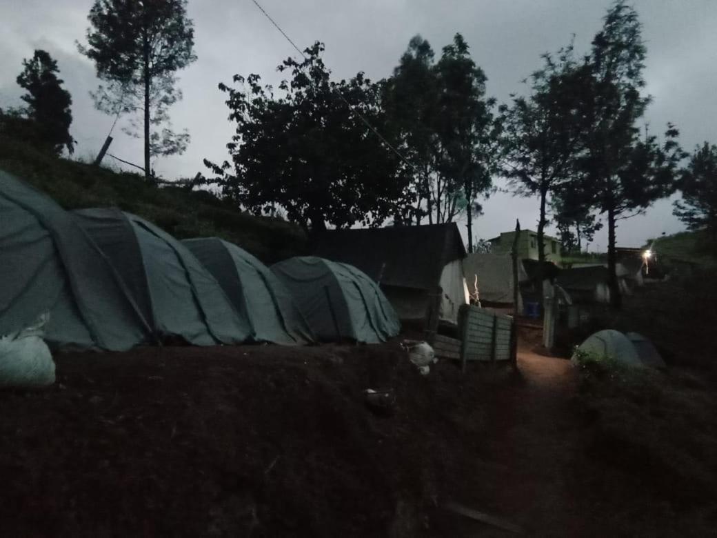 Janardan Tea Campsite *
