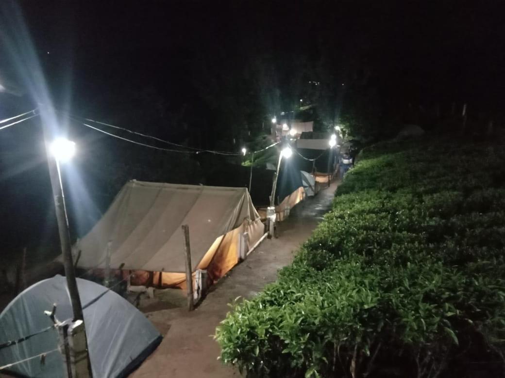 Campsite Janardan Tea Campsite