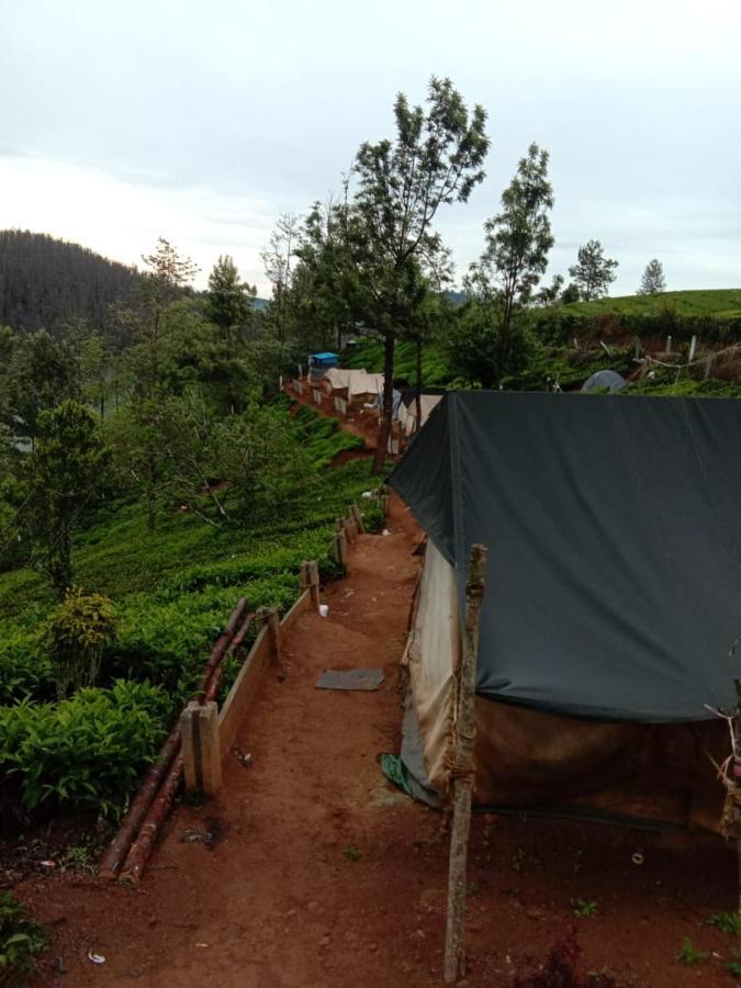 Janardan Tea Campsite Campsite