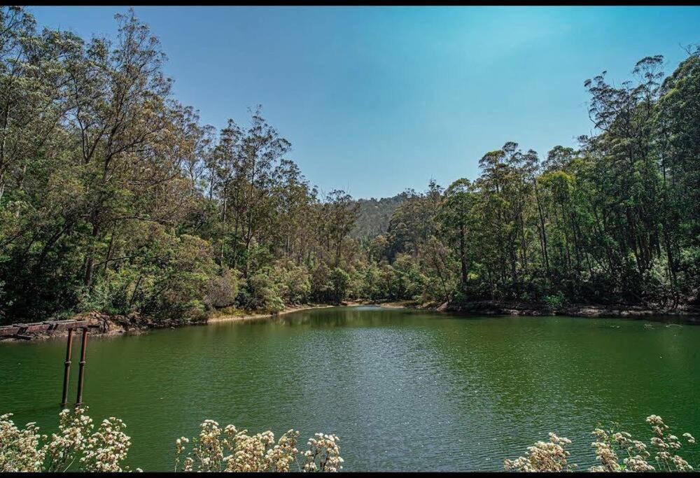 Rustic 3-br W/ Front & Back Yards In The Mountains Villa Ooty
