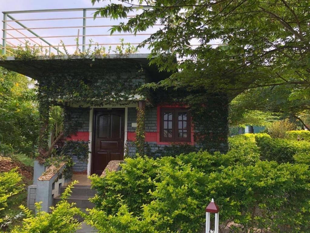 Guest house Masinagudi Ooty