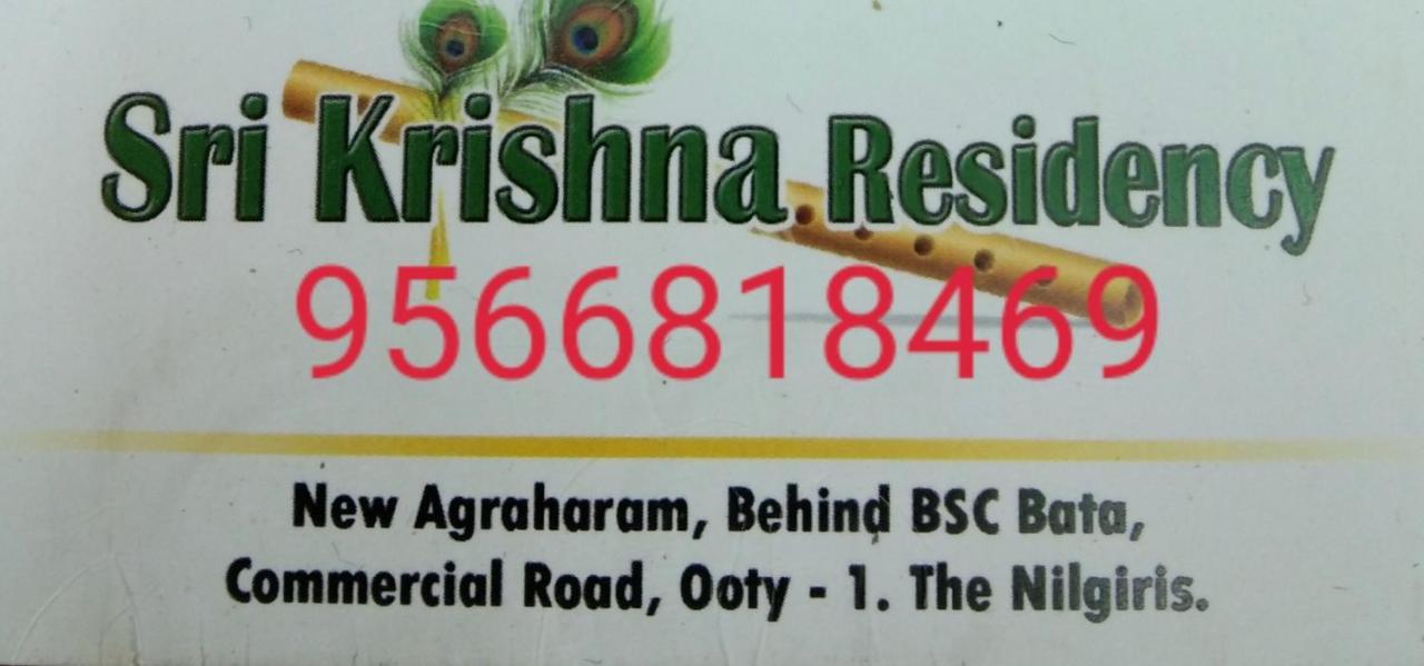 Hotel Sri Krishna Residency 2*