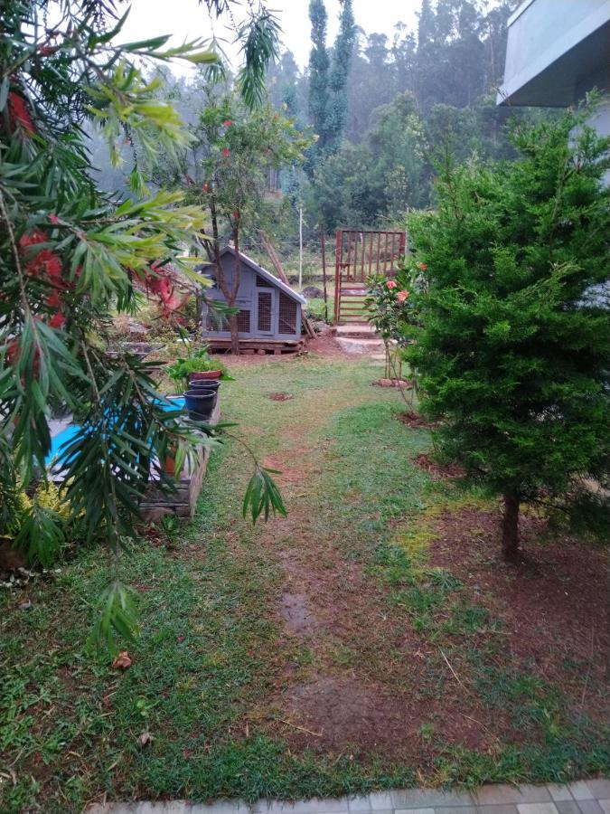 Narmada Homestay
