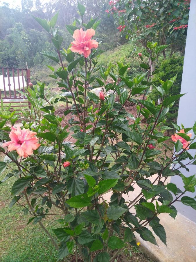 Narmada Homestay