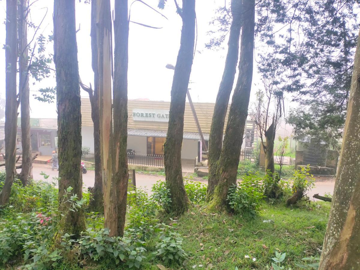 Resort Forest Gate Only Family