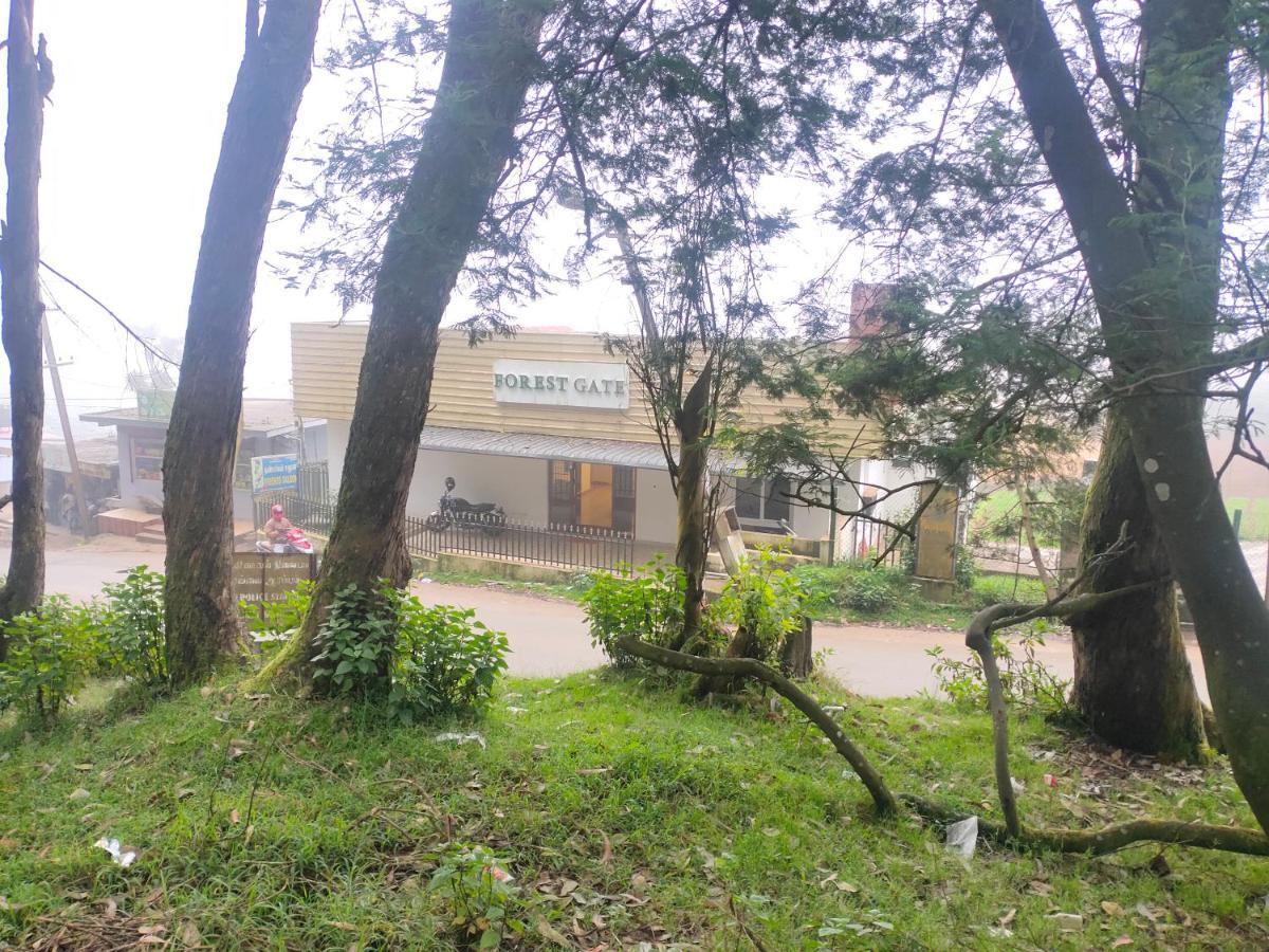 Resort Forest Gate Only Family *