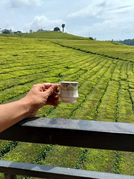 Tea Estate View Holiday home Ooty