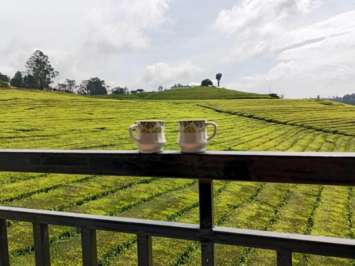 Tea Estate View *