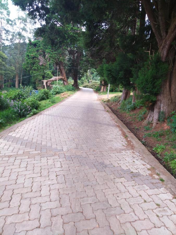 Narmada Homestay Ooty