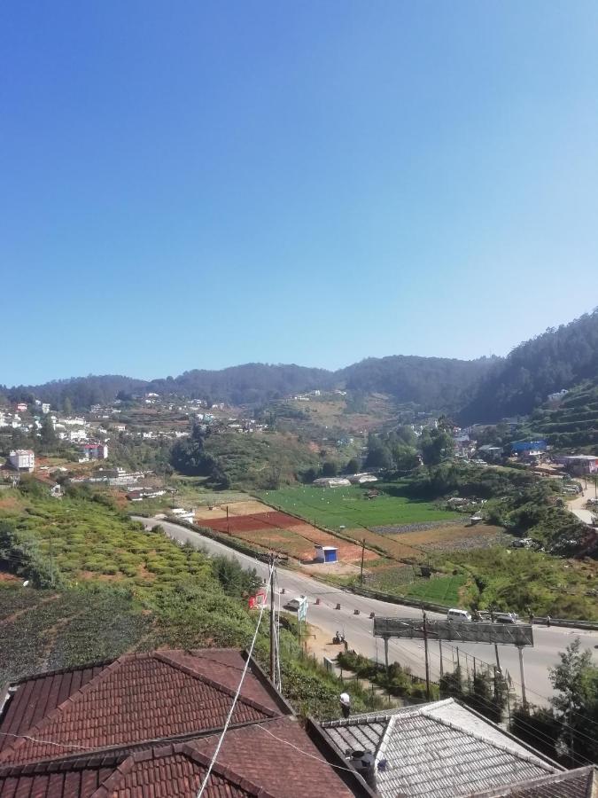 Homestay Sun Star