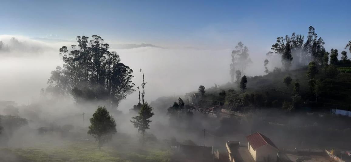 Homestay Orchard Valley View *
