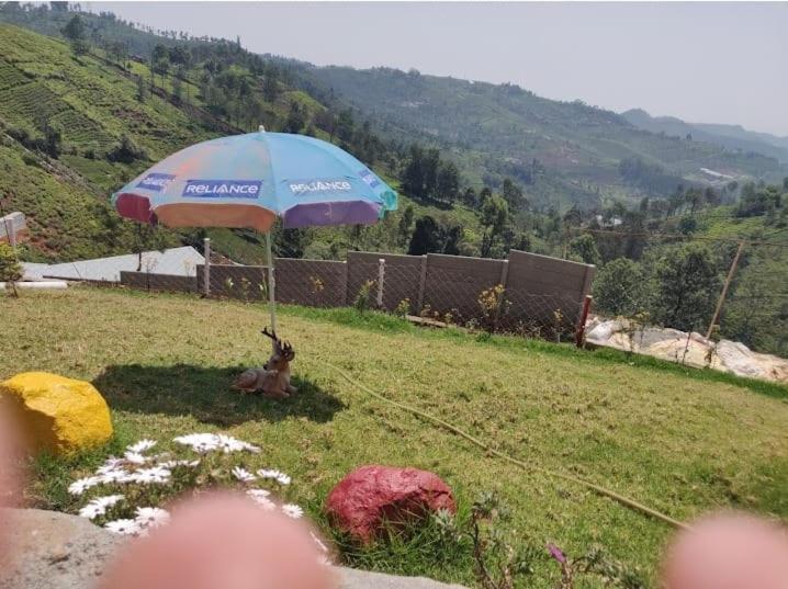 Homestay Mountain Of Magics