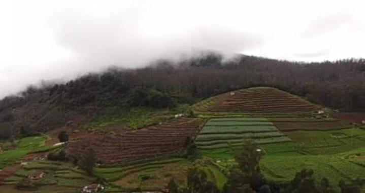 Mountain Of Magics * Ooty