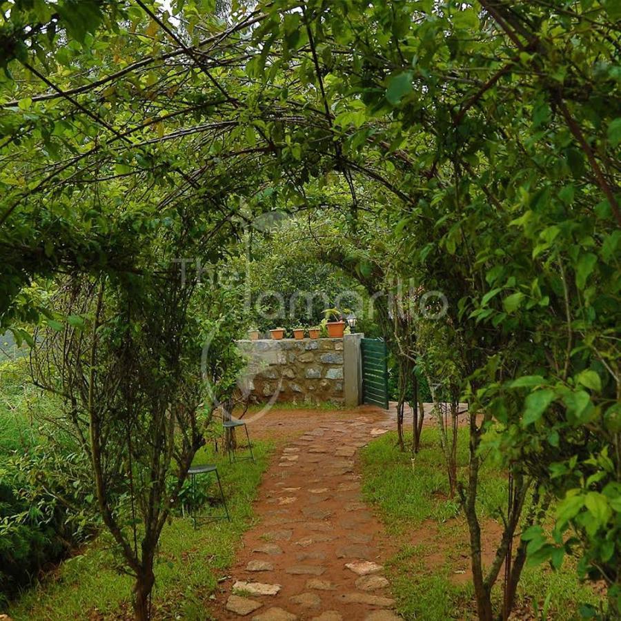 Bed & Breakfast The Tamarillo Ooty