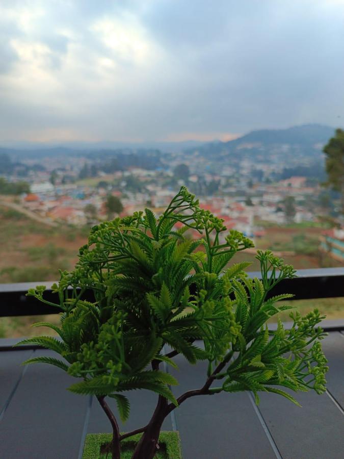 Phoenix View Ooty