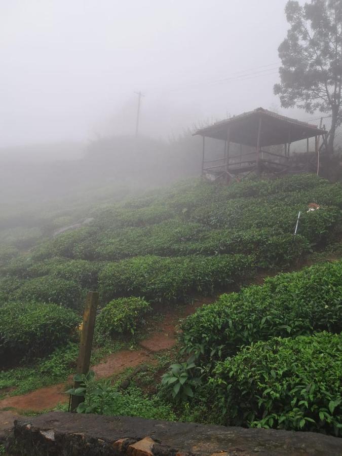 Homestay Mysterious Mountain Ooty