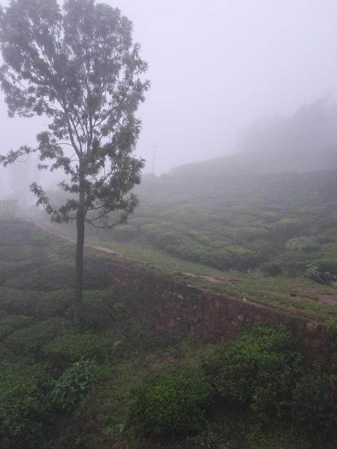 Mysterious Mountain Homestay Ooty