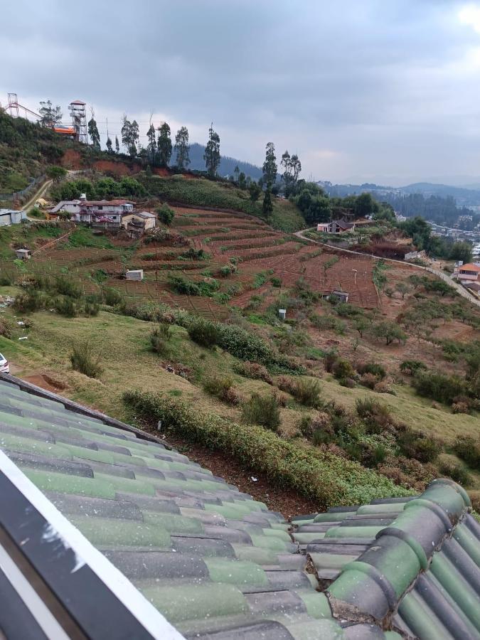 Homestay Phoenix View *