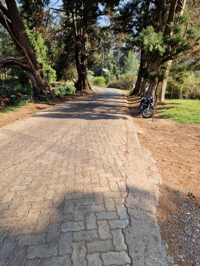 Narmada * Ooty
