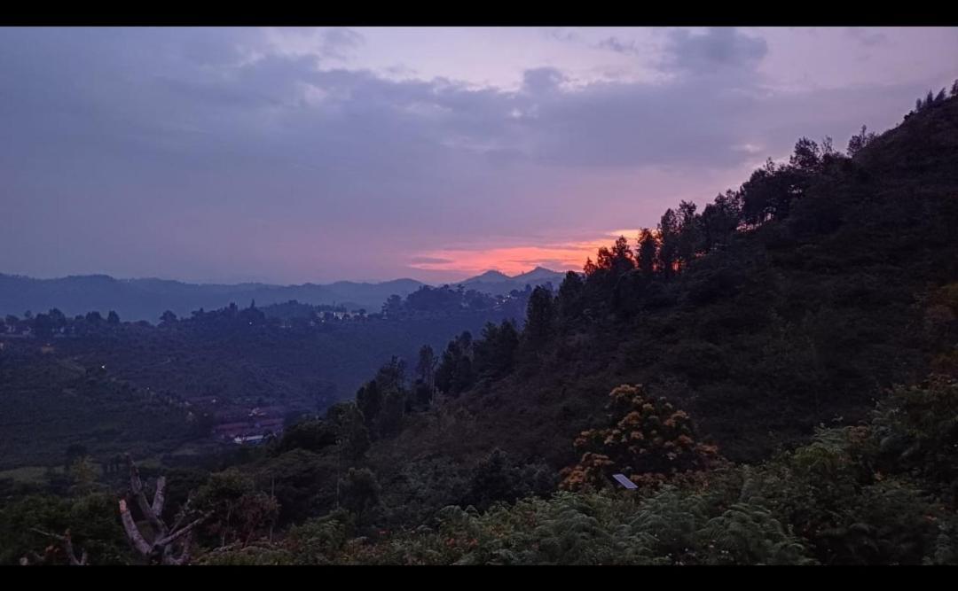 Joy House - 1 Bhk Cozy Entire House (adults Only) Holiday home *