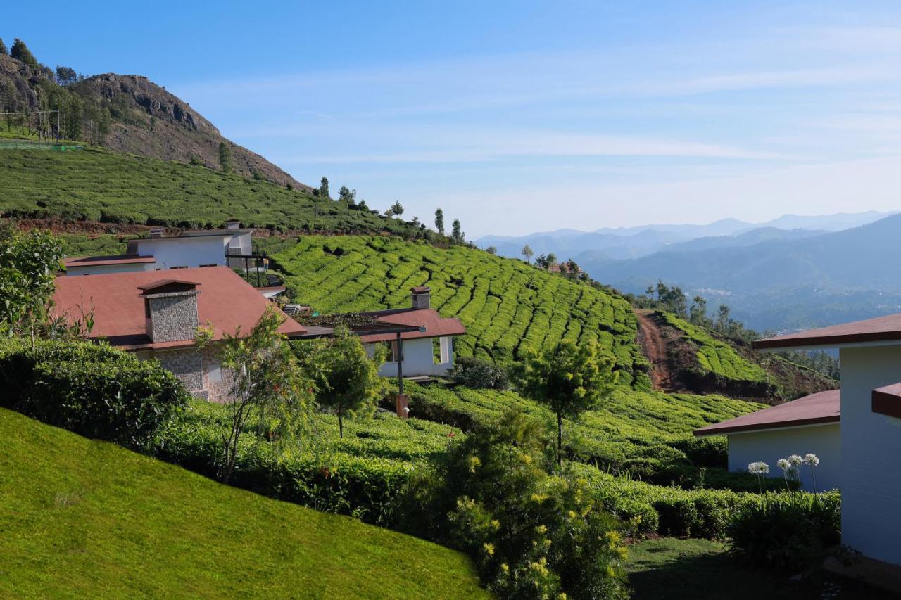 Planters Punch Resort *
