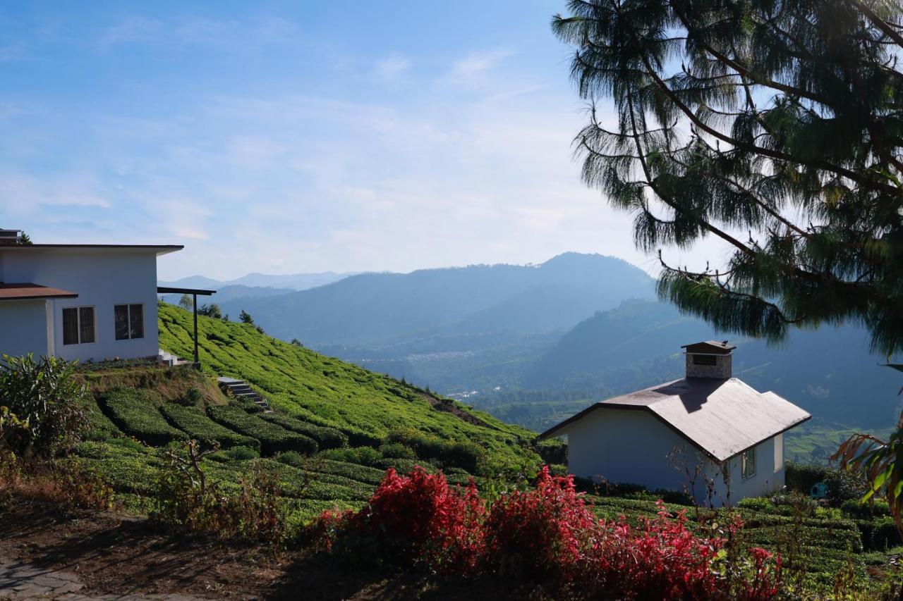 Resort Planters Punch Ooty