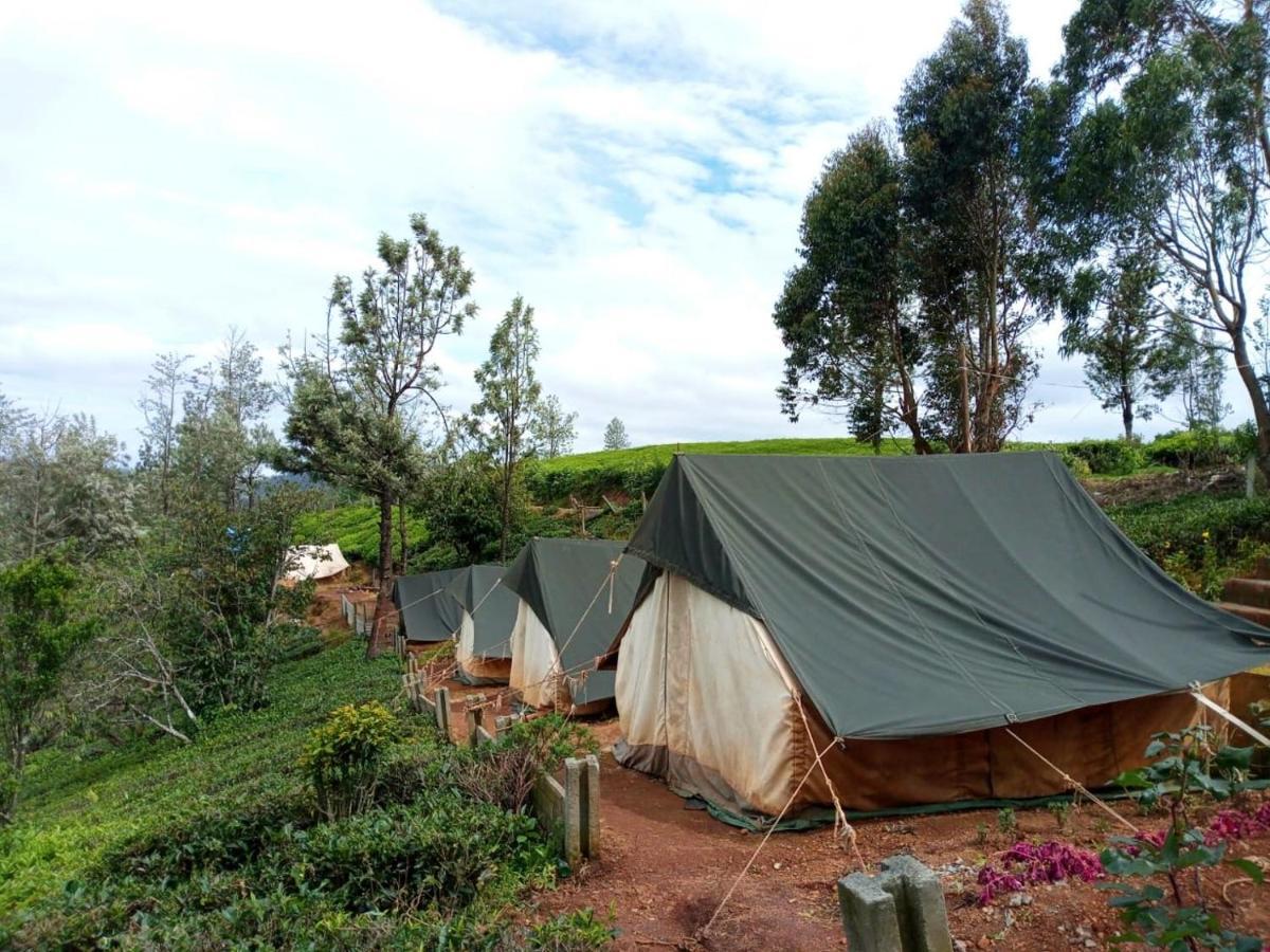 Janardan Tea Campsite Campsite