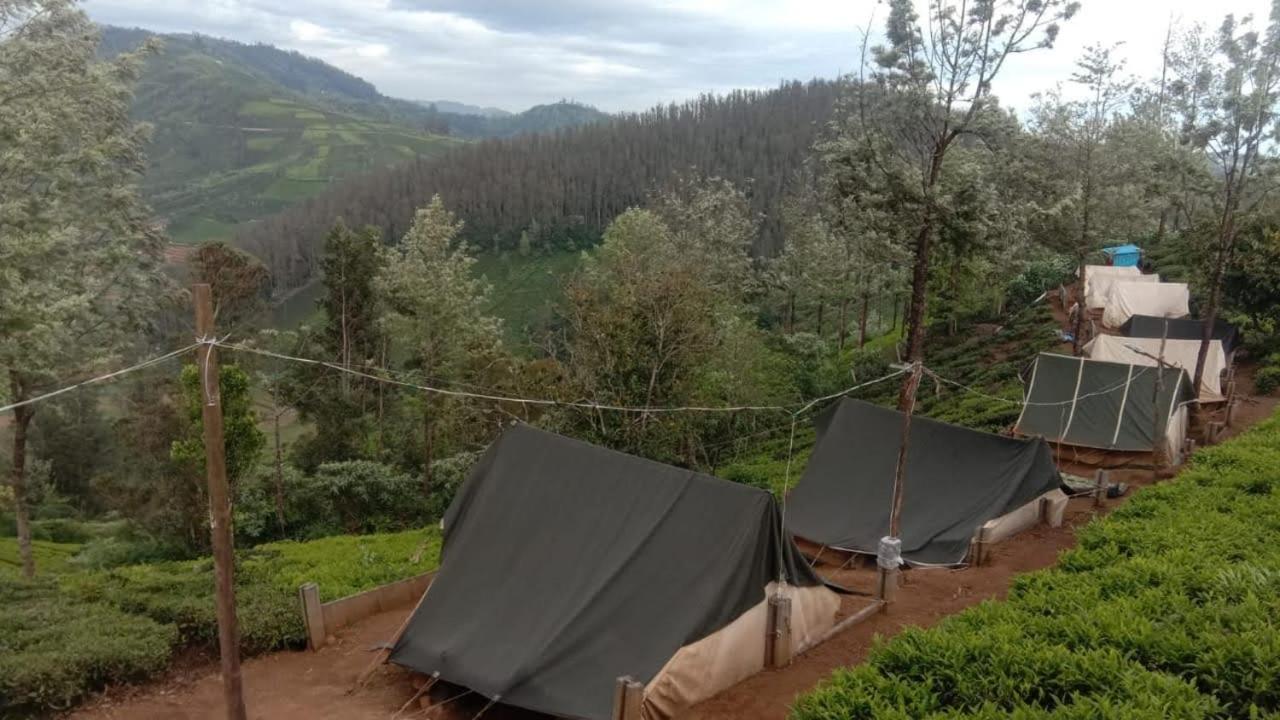 Janardan Tea Campsite