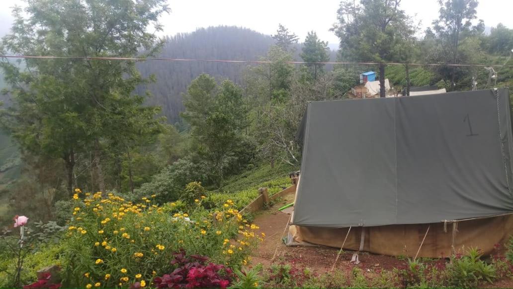 Janardan Tea Campsite * Ooty