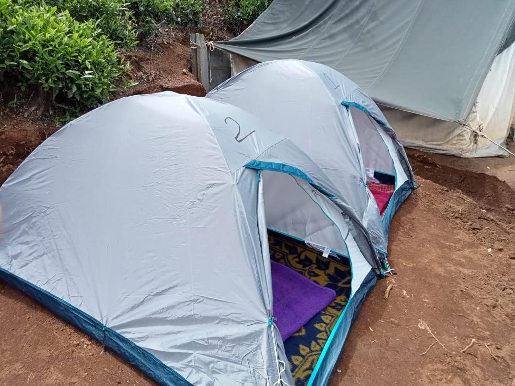 Janardan Tea Campsite