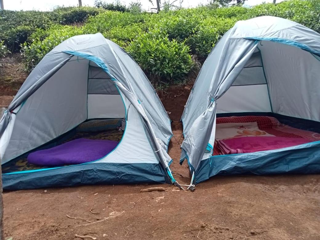 Campsite Janardan Tea Campsite